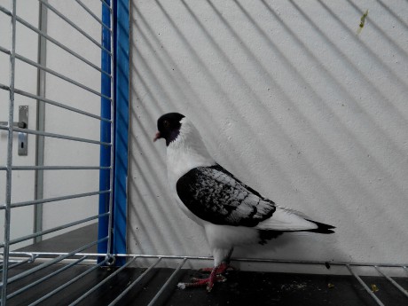 IMG_20141109_081956_1